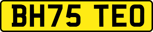 BH75TEO