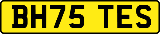 BH75TES