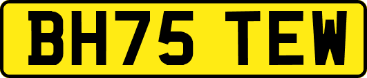 BH75TEW