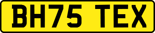BH75TEX