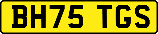 BH75TGS