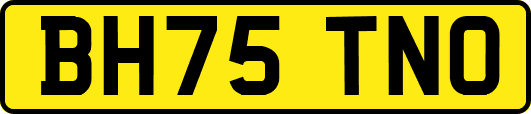 BH75TNO