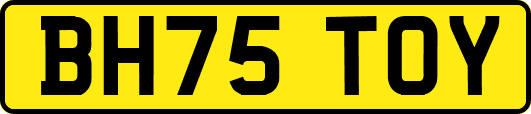 BH75TOY