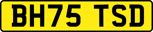 BH75TSD
