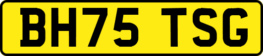 BH75TSG