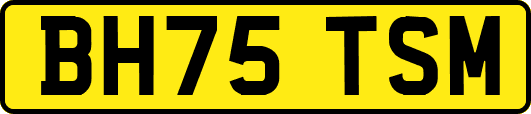 BH75TSM