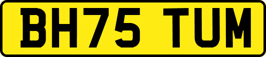 BH75TUM