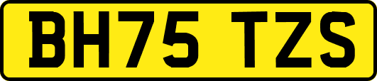 BH75TZS