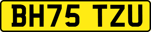 BH75TZU