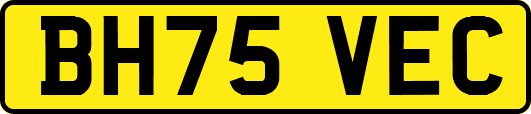 BH75VEC
