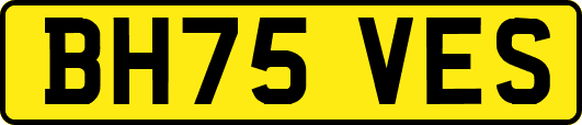 BH75VES