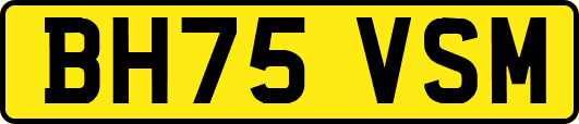 BH75VSM