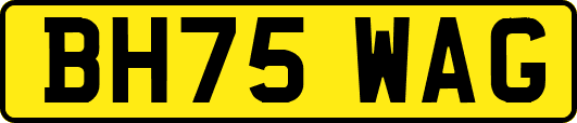 BH75WAG