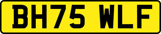 BH75WLF