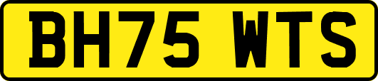 BH75WTS