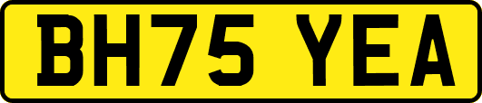 BH75YEA