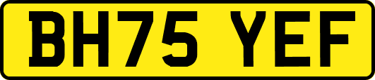 BH75YEF