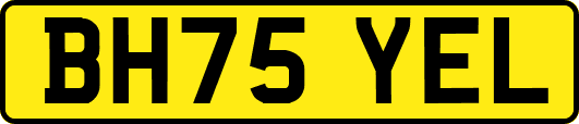 BH75YEL