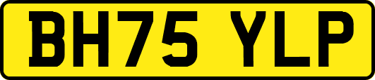 BH75YLP