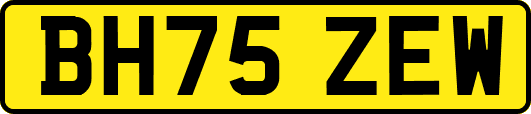 BH75ZEW