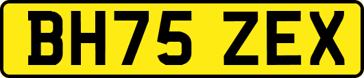BH75ZEX