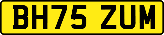 BH75ZUM