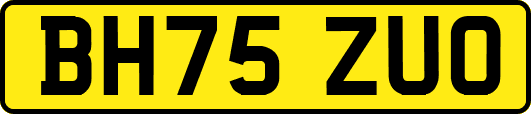 BH75ZUO