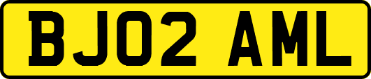 BJ02AML