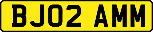 BJ02AMM