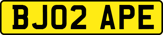 BJ02APE