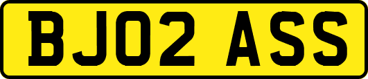 BJ02ASS