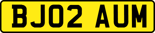 BJ02AUM
