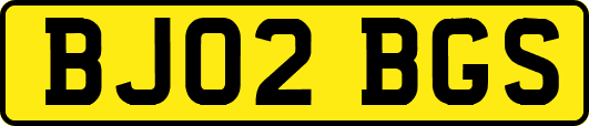 BJ02BGS