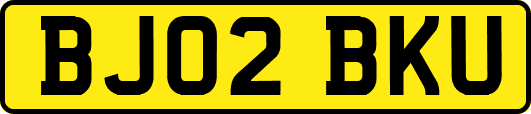 BJ02BKU