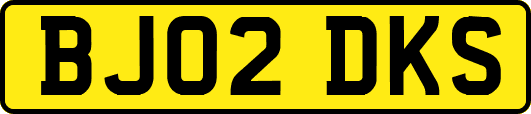 BJ02DKS