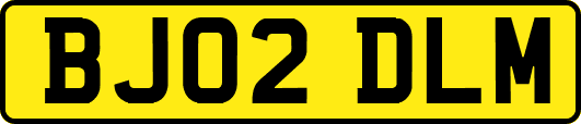 BJ02DLM
