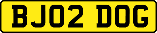 BJ02DOG
