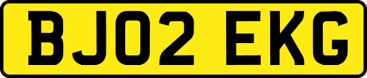BJ02EKG