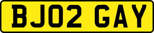BJ02GAY