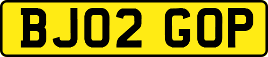 BJ02GOP