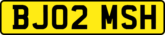 BJ02MSH