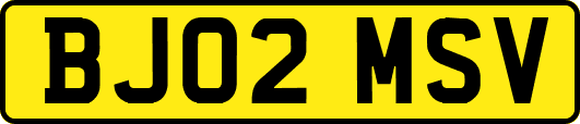 BJ02MSV