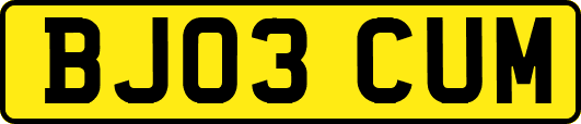 BJ03CUM