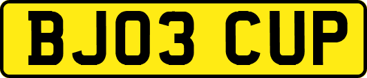 BJ03CUP