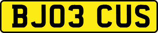 BJ03CUS