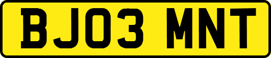 BJ03MNT