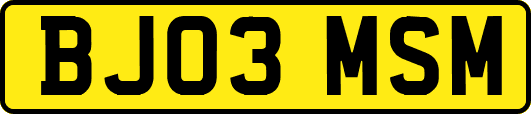 BJ03MSM