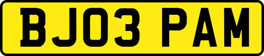 BJ03PAM