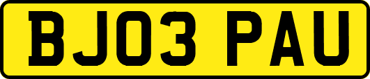 BJ03PAU