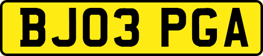 BJ03PGA
